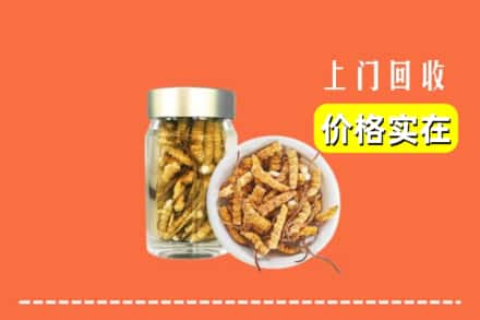 收购资讯:黔西南州兴仁回收散虫草