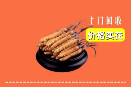 黔西南州兴仁回收冬虫夏草
